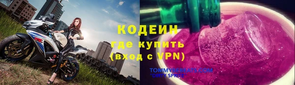шишки Заволжск