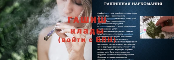 шишки Заволжск