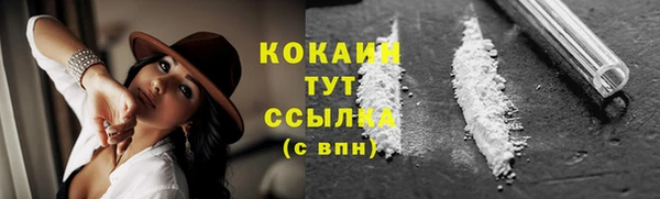 мескалин Заводоуковск