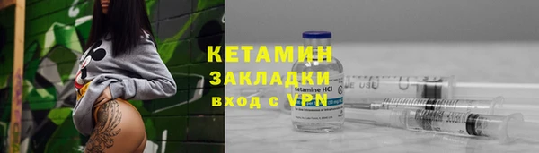 шишки Заволжск