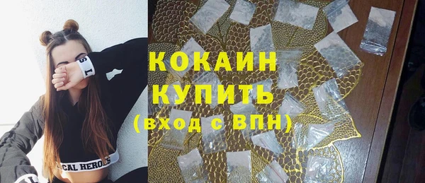 шишки Заволжск