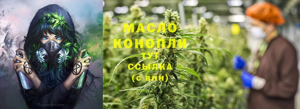 шишки Заволжск